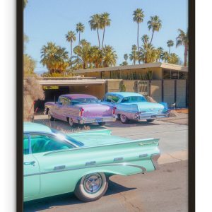 Palm Springs Paradise