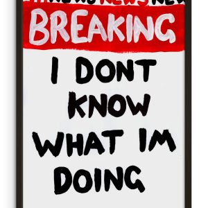 I Dont Know What Im Doing